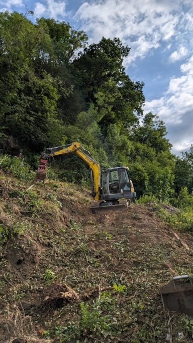 Bagger bei Rodung am Hang in Feldkirchen an der Donau, Greifer entfernt Gehölz und säubert den Hang.